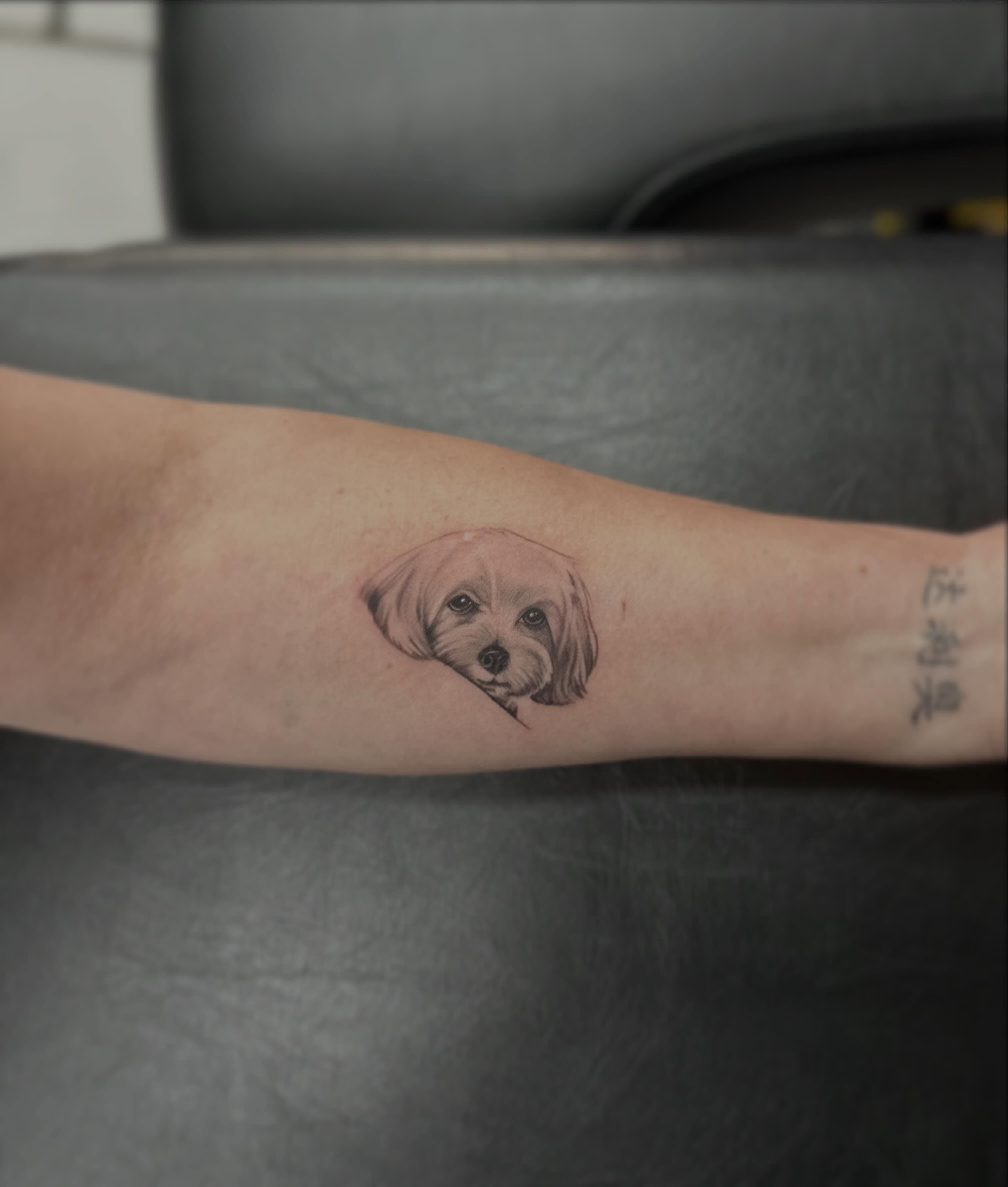 Tattoo by Morais