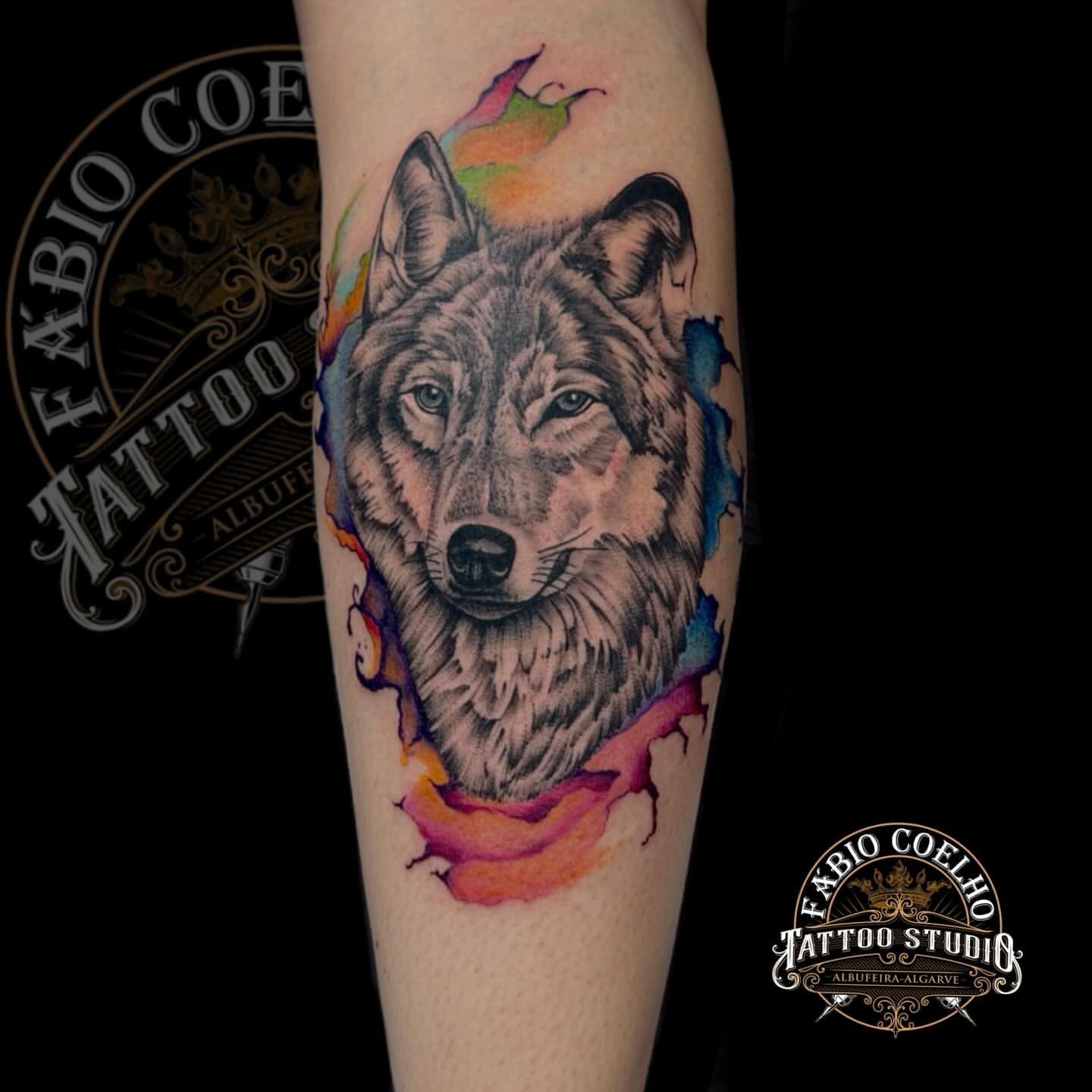 Wolf with colour splash on the calf